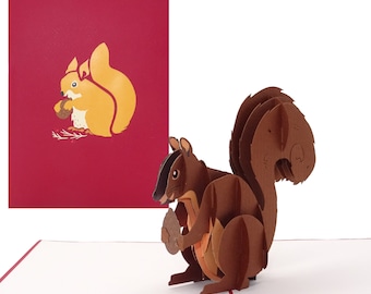 Carte Pop Up « Écureuil » - carte d'anniversaire 3D amusante, carte d'invitation et carte de Noël avec enveloppe comme bon d'achat, cadeau et décoration