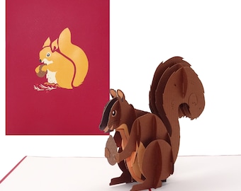 Pop Up Card “Squirrel” - funny 3D birthday card, invitation card and Christmas card with envelope as a voucher, gift & decoration