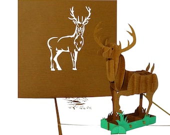 Carte pop up « Cerf – Waidmannsheil » Carte d'anniversaire 3D, bon d'achat et invitation à la randonnée, à la chasse pour chasseurs et forestiers