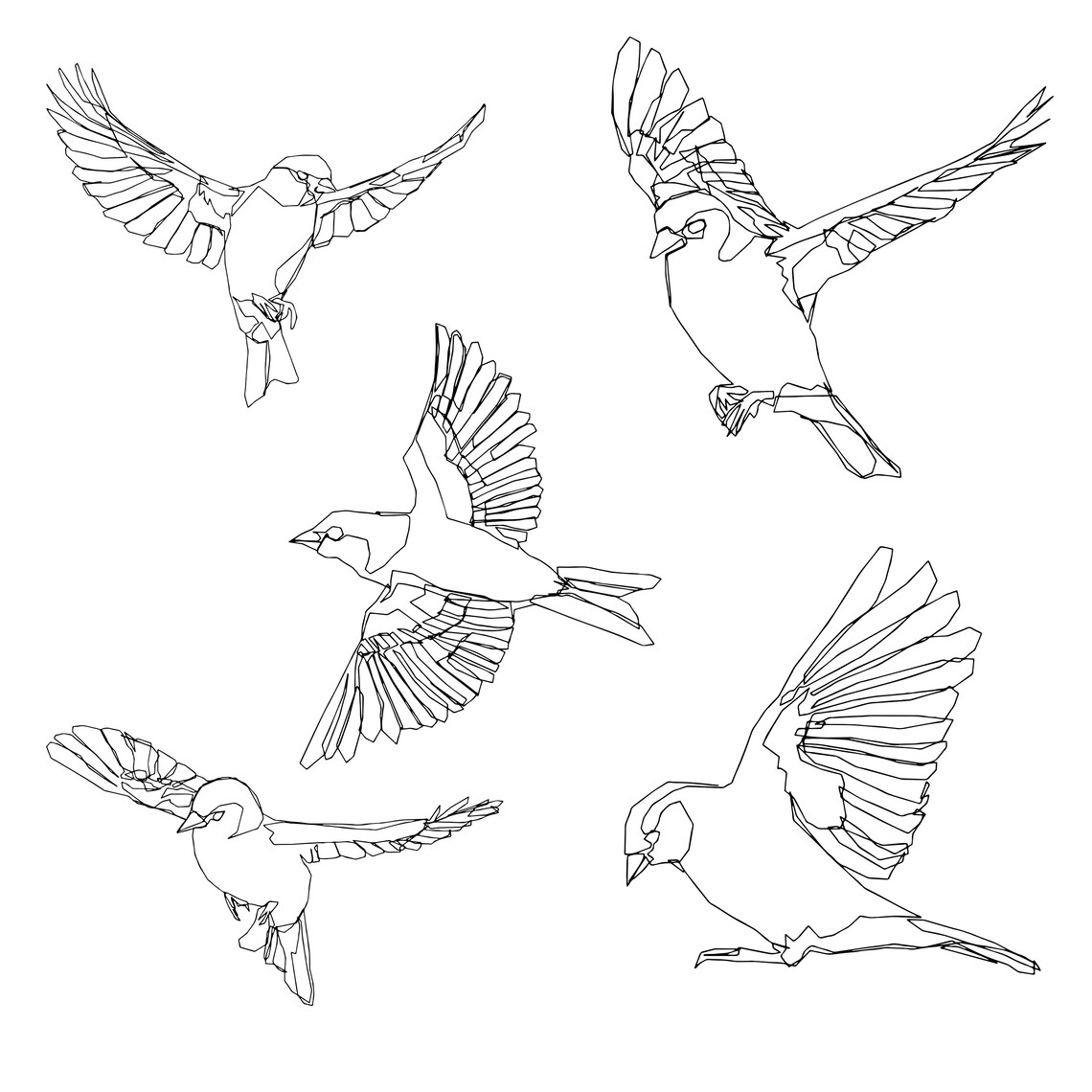 Birds in Flight Digital Download | Etsy