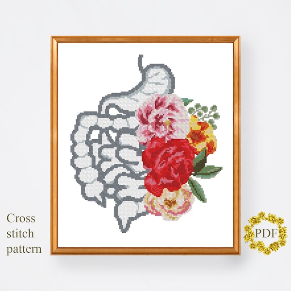 Stomach Modern Cross Stitch Pattern PDF, Intestines Anatomy Counted Cross Stitch Chart, Flowers Roses, Medical Embroidery, Digital Download