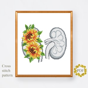 Kidneys Floral Modern Cross Stitch Pattern PDF, Anatomy Counted Cross Stitch Chart, Medical, Flower Sunflower, Embroidery, Digital Download