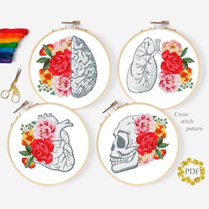 Patrón de punto de cruz moderno con anatomía floral en formato PDF, gráfico de punto de cruz contado médico, corazón, calavera, cerebro y pulmones, bordado con aro, descarga
