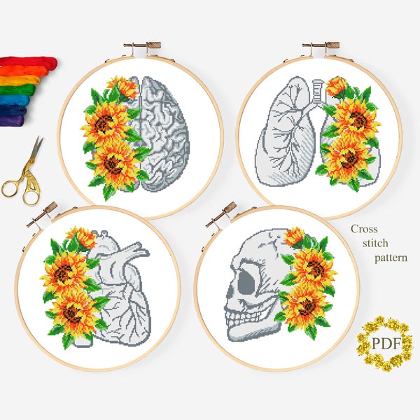 Set Anatomy Modern Cross Stitch Pattern PDF, Floral Heart, Skull, Brain Lung Counted Cross Stitch Chart, Sunflower, Hoop Embroidery Download