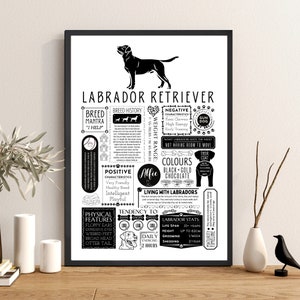 Labrador Retriever Fact Print | Personalised with Dogs Name | Dog Lover Gift - A4 Frame & Gift Option