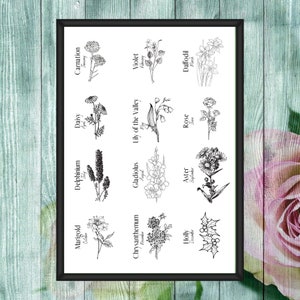 May include: A black and white illustration of 12 different flowers, each representing a different month of the year. The flowers are arranged in a grid pattern, with the name of the flower and the month it represents written below each image.