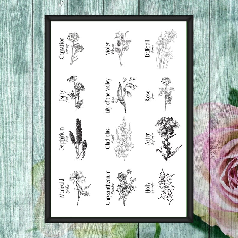 May include: A black and white illustration of 12 different flowers, each representing a different month of the year. The flowers are arranged in a grid pattern, with the name of the flower and the month it represents written below each image.