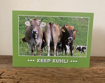 carte | GARDER AU FRAIS | anniversaire | encouragements | encouragements | vache | Vaches | Carte photo | Garder son calme