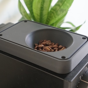 May include: A close-up of a black coffee grinder with a small, gray, removable bean hopper. The hopper is filled with roasted coffee beans.