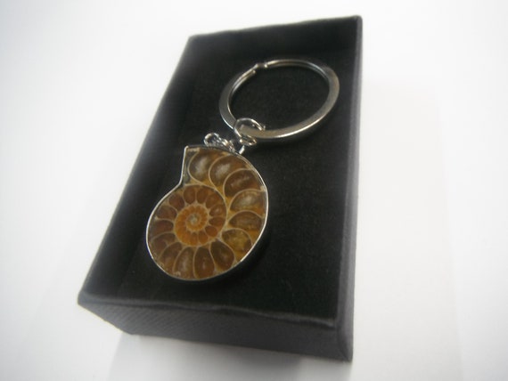 fossil keyring