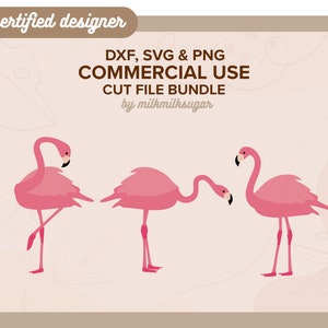 FLAMINGO SVG, Flamingo Bundle, Flamingo Clipart Files for Cricut, Flamingo Sublimation Png, Includes Dxf, Png