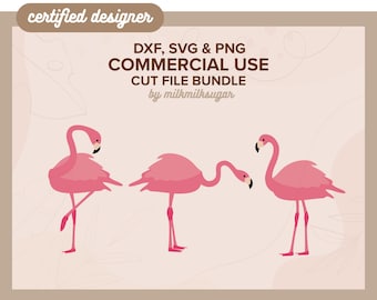SVG de flamingo, pacote de flamingos, arquivos de clipart de flamingo para Cricut, PNG de flamingo para sublimação, inclui DXF e PNG.