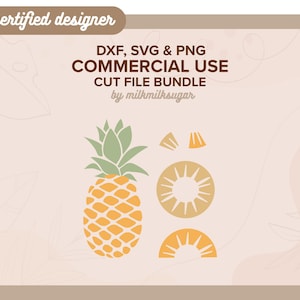ANANAS gesneden SVG-bestand voor Cricut of silhouet, sublimatie ontwerp, fruitbundel Svg, zomer Png, tropisch fruit Svg | Pineapple Express