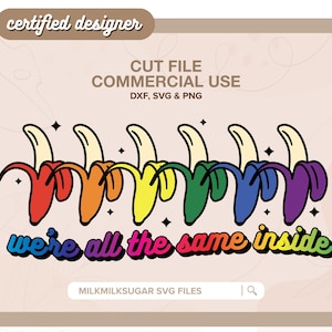 PRIDE-SVG-bestand knippen voor Cricut of silhouet, LGBTQ+ sublimatieontwerp, Rainbow Svg, Gay Pride Svg, LGBTQ+ Svg-bundel | We zijn allemaal hetzelfde