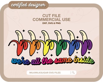 PRIDE SVG Cut File For Cricut or Silhouette, LGBTQ+ Sublimation Design, Rainbow Svg, Gay Pride Svg, Lgbtq+ Svg Bundle | We're All The Same