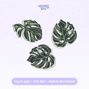 Monsterablad SVG-bestandsbundel gesneden, patroon tropische planten (digitale download)
