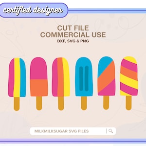 Archivo SVG de corte de paleta para Cricut o Silhouette, diseño de sublimación de verano, archivo PNG, paquete SVG que incluye DXF, SVG y PNG / Fiesta de paletas