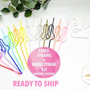 Bachelorette Party Straws and Bride Straw Favor Bachelorette Party Supplies Decorations Kit Bridal Wedding Shower Gift Bach Bash Reusable