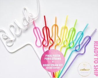 Final Fiesta Bride Straw Set, Mexico Bachelorette Favors,Tequila Sunrise, Taco and Tequila, Margs and Matrimony, She Said Si, Last Margarita