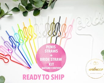 Bachelorette Party Straws and Bride Straw Favor Bachelorette Party Supplies Decorations Kit Bridal Wedding Shower Gift Bach Bash Reusable