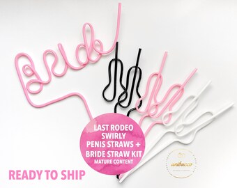 Last Rodeo, Space Cowgirl Bachelorette Straws, Nashville Bride Straw Western Bach Party Favor, Let’s Go Girls Bach, Last Ride Cowboy