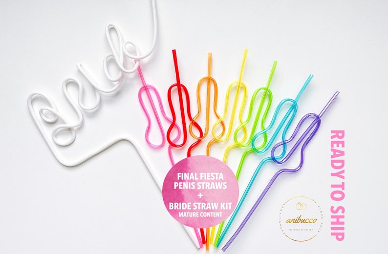 Final Fiesta Bride Straw Set, Mexico Bachelorette Favors,Tequila Sunrise, Taco and Tequila, Margs and Matrimony, She Said Si, Last Margarita image 1