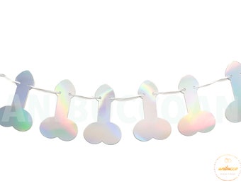 Bachelorette Banner Party Holographic Lingerie Bach Party Decor Last Fling Before Ring Disco Bride Silver Banner Sign Hen Party Bach 90s 80s
