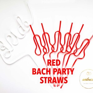 Pastel Pink Swirly Coquette Bachelorette Party Favors, Disco Bride Straw, In My Bride Era Bachelorette Party, Bikini Bachelorette Straws Set Red