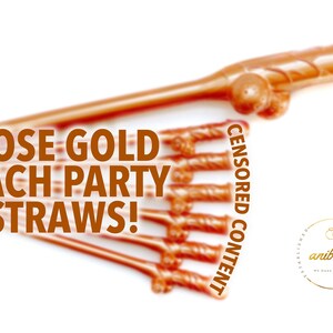 Rose Gold Bach Party Straws Bachelorette Party Favors Bach Bash Supplies Bachelorette Party Decorations Bridal Lingerie Party Hen Party