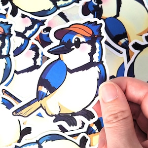 Blue Jay - Cute Bird 3 In Waterproof Vinyl Sticker