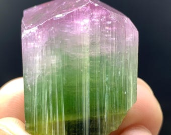 162 Carat Watermelon Tourmaline Crystal: Trigonal Terminated, Afghanistan