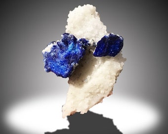 ラズライト結晶標本：インクブルーと金色の黄鉄鉱 - アフガニスタン