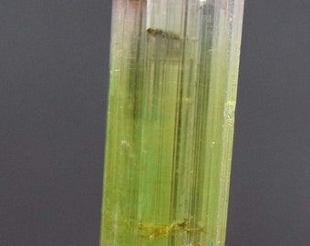 33*6*5 mm Tourmaline Crystal Terminated And Undamaged Bi Color Tourmaline Crystal From Afghanistan 10.30 Carats