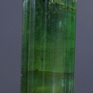 Op de afbeelding: Een levendig groene toermalijnkristal, met een kolomvormige structuur met verticale strepen. De edelsteen is gemonteerd op een kleine, ruwe, grijze basis. De kleur van het kristal varieert van licht- tot diepgroen.