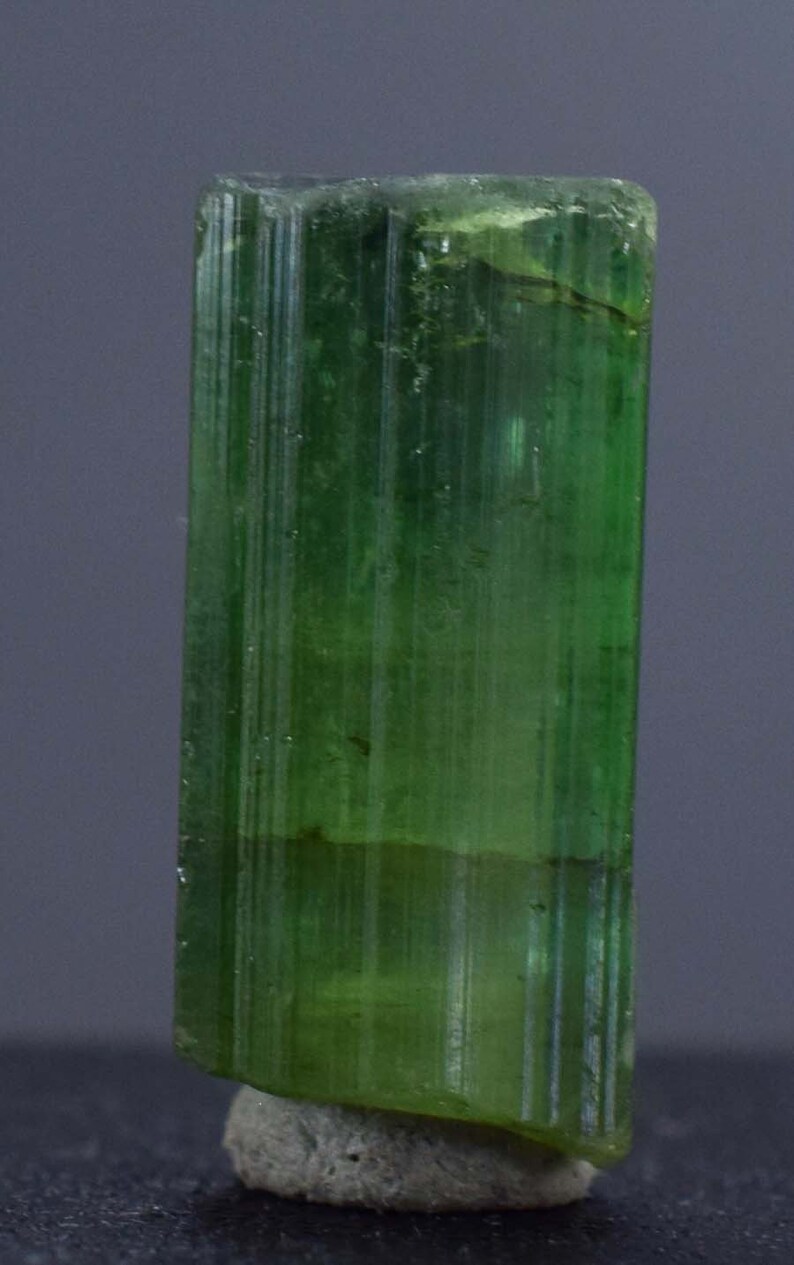 Op de afbeelding: Een levendig groene toermalijnkristal, met een kolomvormige structuur met verticale strepen. De edelsteen is gemonteerd op een kleine, ruwe, grijze basis. De kleur van het kristal varieert van licht- tot diepgroen.