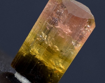 Tri-Color Tourmaline Crystal: 15.90 Carats, Afghanistan Origin