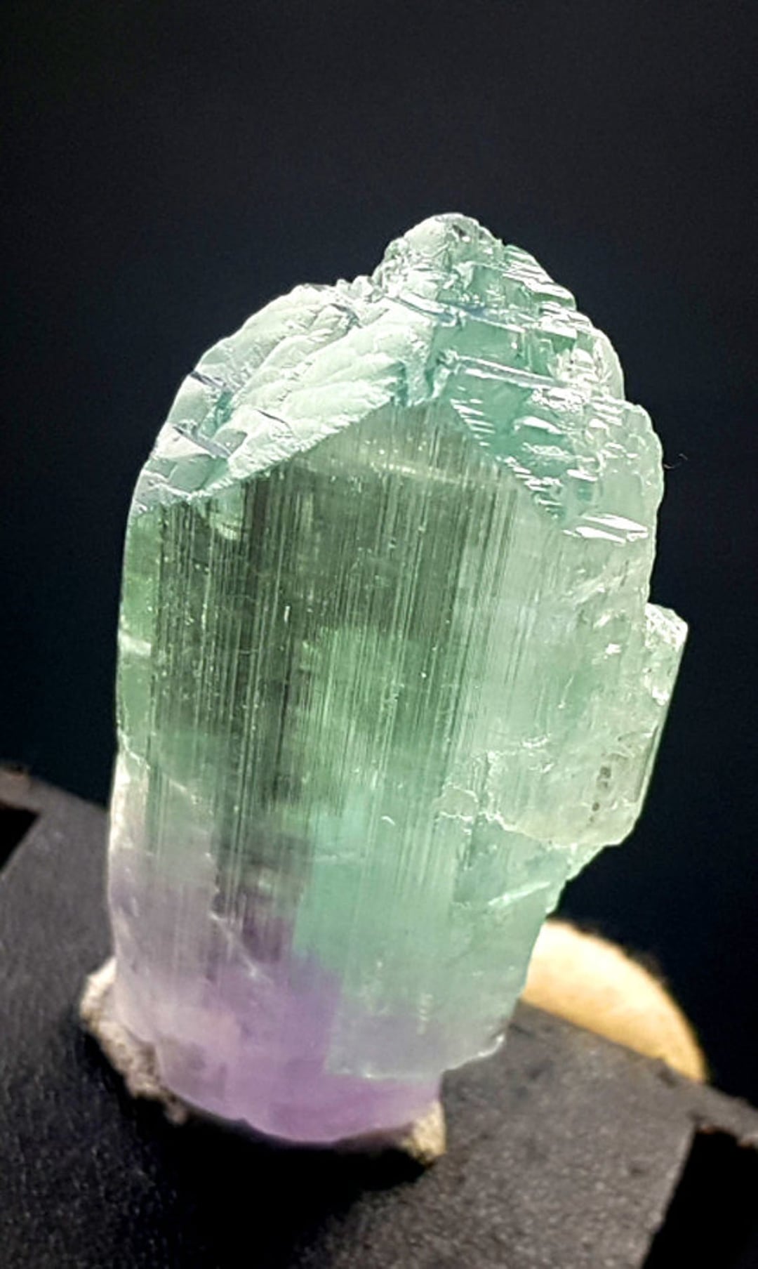 天然のバイカラー クンツァイト クリスタル。 【公式通販】