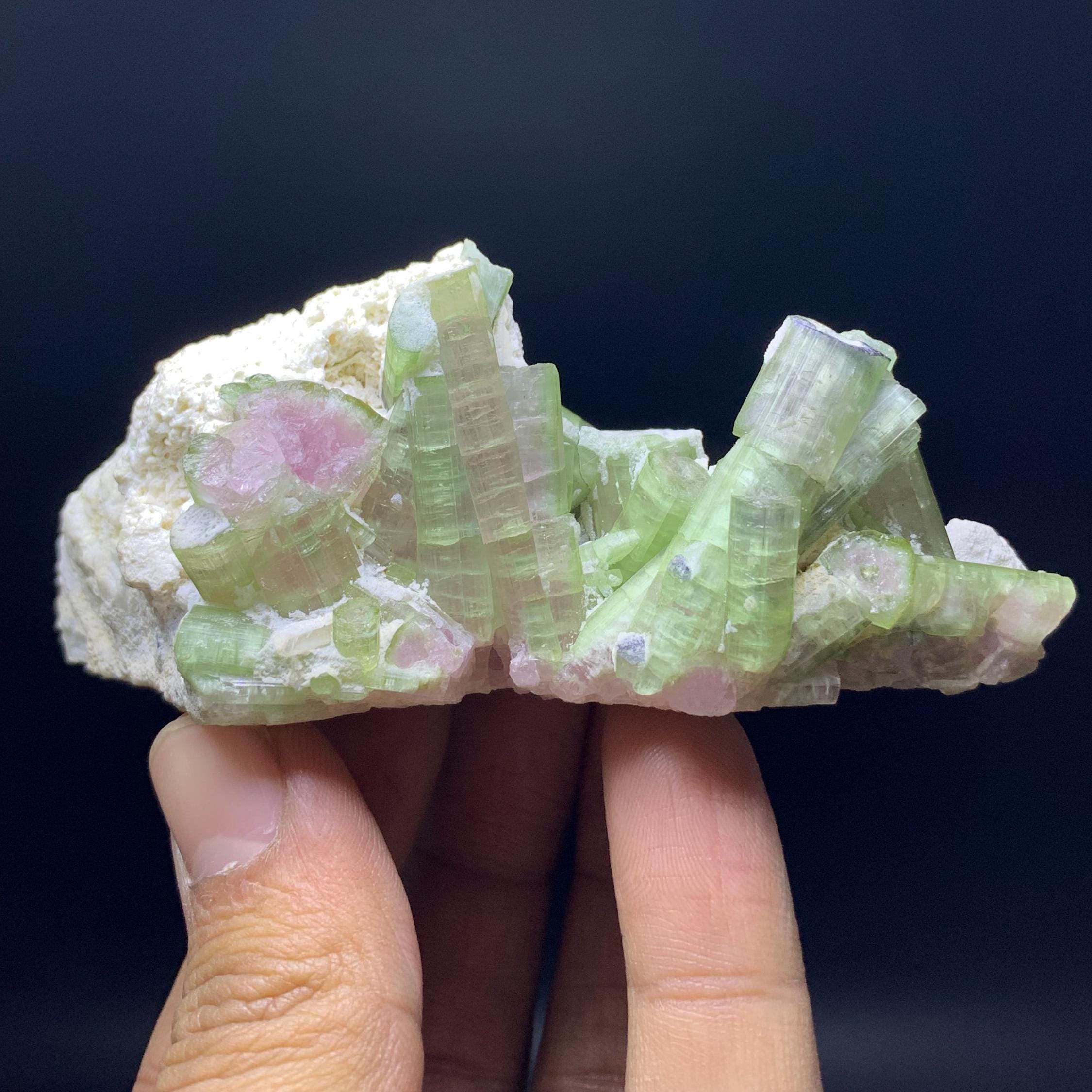 バイカラーウォーターメロントルマリン結晶標本、アフガニスタン産鉱物