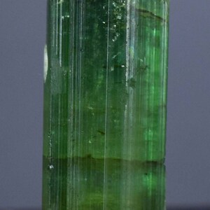 Op de afbeelding: Een doorschijnend, groene toermalijnkristal met verticale strepen. De edelsteen heeft een cilindrische vorm en is gemonteerd op een kleine, grijze basis. De kleur van het kristal varieert van licht- tot donkergroen.