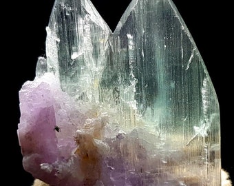 Bi-Color Kunzite Crystal: Natural V-Shape Afghanistan Mineral (51 Gram)