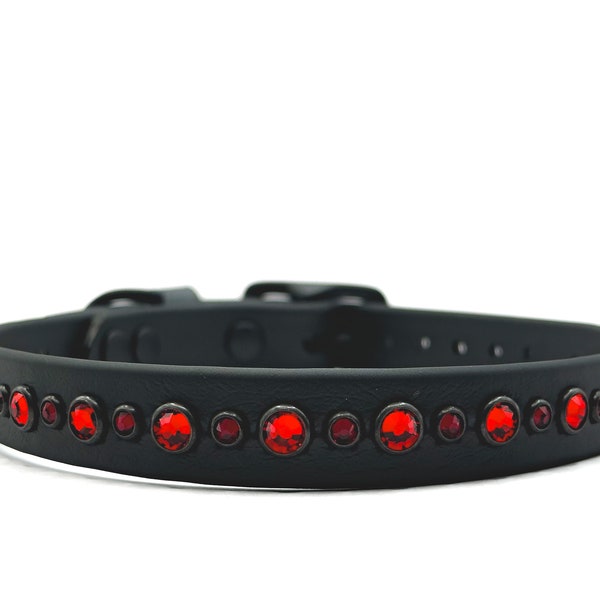 The Baxter 3/4” Biothane Dog Collar