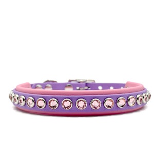 Custom 1/2” Double Layer Biothane Dog Collar