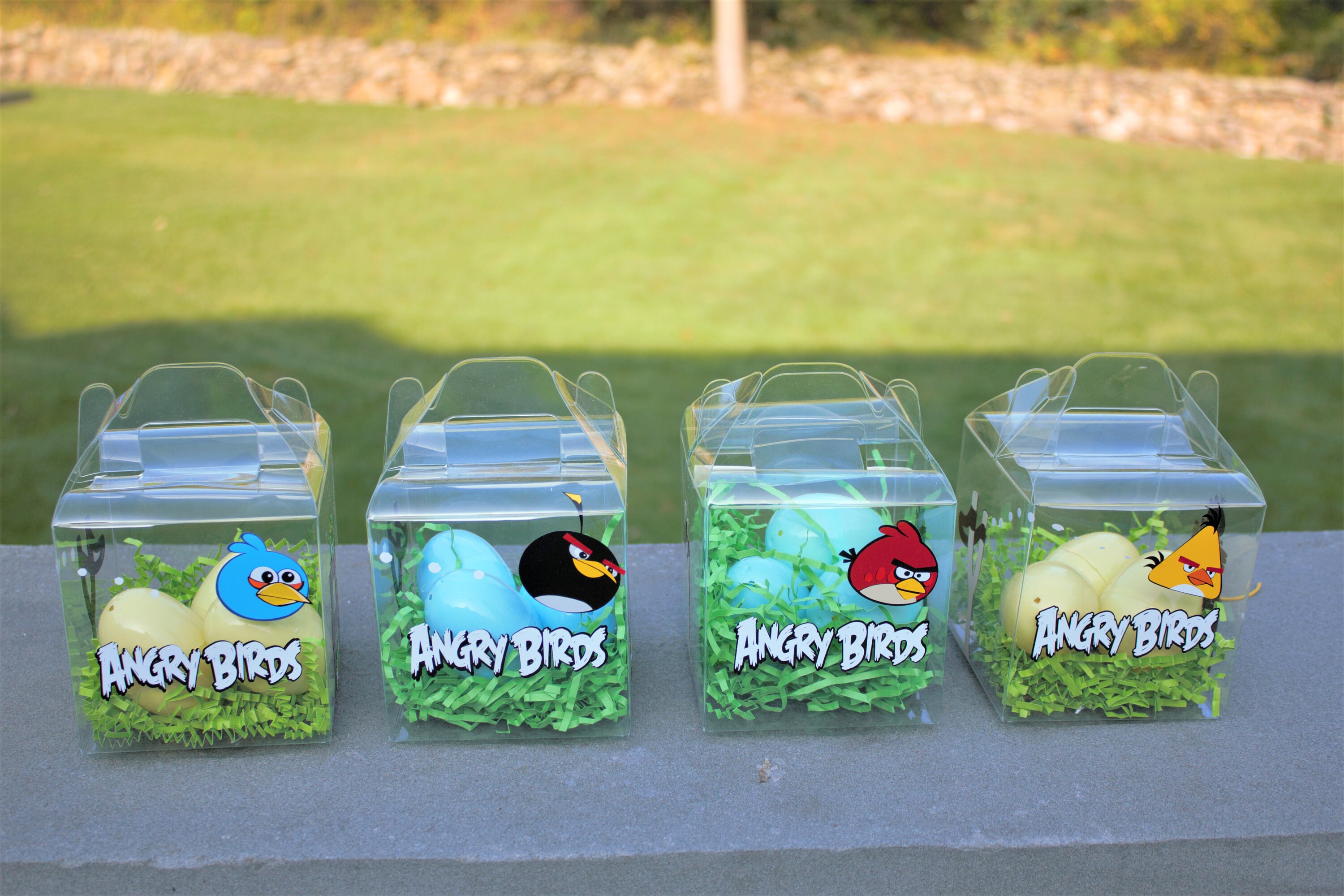 Angry Birds Clear Gable Angry Birds Box Angry Birds Goody Etsy - red bird in a bag angry birds roblox