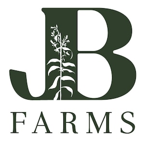 Custom Logo Design