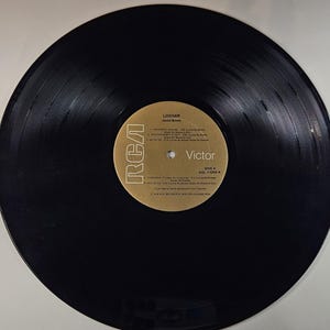 May include: A black vinyl record with a gold label featuring the text "LODGER" and "David Bowie." The label also includes the RCA Victor logo and song titles. The record is centered on a white surface.