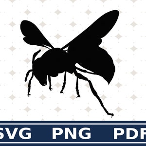 Hornet SVG Clipart Tier Design Silhouette für Vinyl Aufkleber Aufkleber digitaler Download