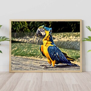 Parot Wall Art Print Illustration Printable Canvas Painting Downloadable Poster