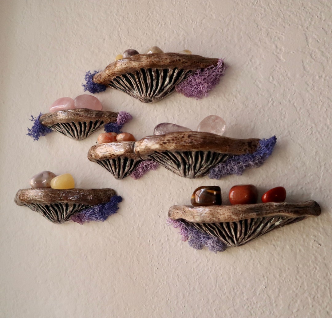 Mushroom Shelf Cluster Sets Wall Accent Crystal Shelf Etsy UK