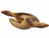 An Antique Japanese Conch Shell Carved Ojime Netsuke Bead Of Two Geese