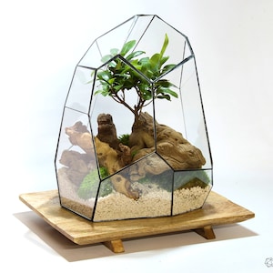 Wasserdichtes geometrisches Terrarium LunarCamp B, Parametrisches Terrarium - Glasterrarium - Terrarium ohne Pflanzen